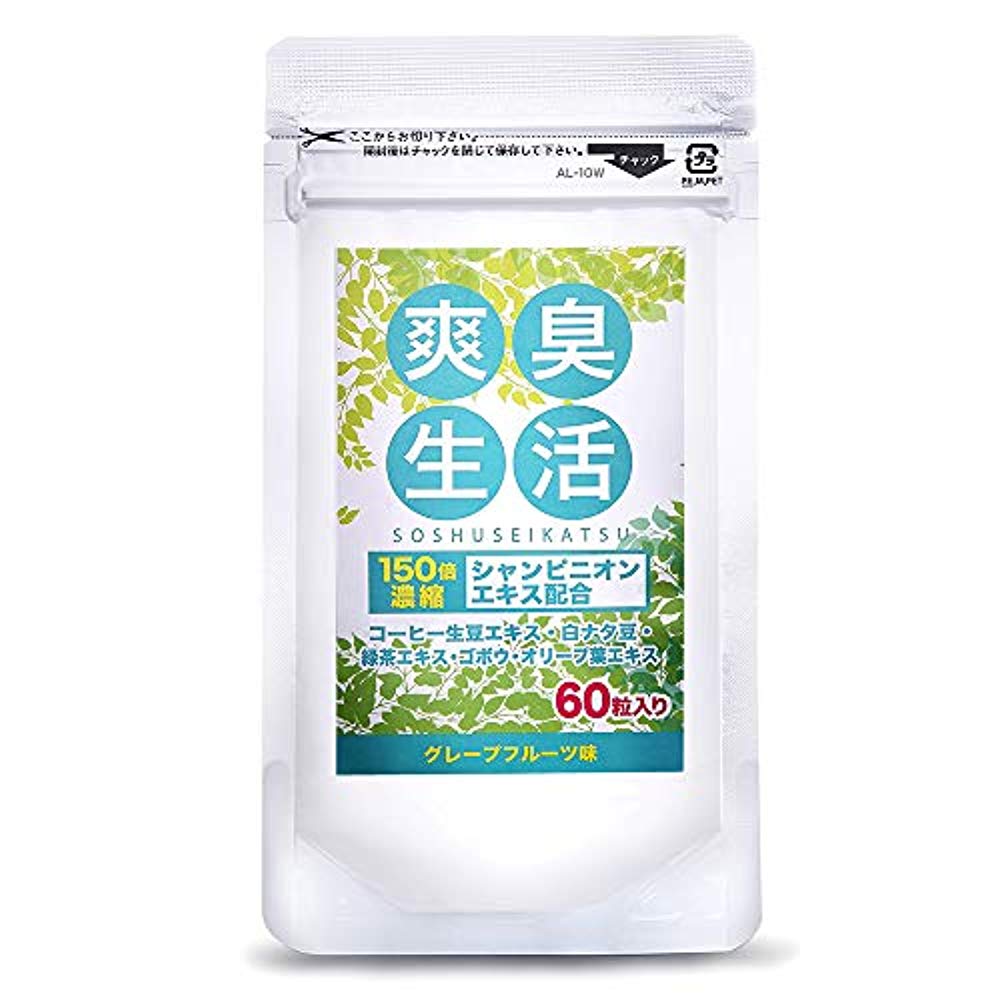 SOUSHUSEIKATSU pinion 배합 서플리먼트 커피생 두엑기스 배합 에티켓 사프리(supplement) 60알 30일분
